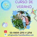 Curso de Verano en Waldorf Semillas de Luz